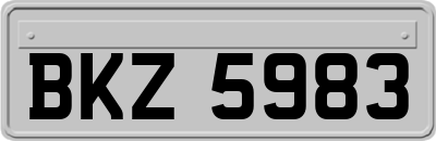 BKZ5983
