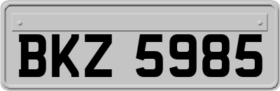 BKZ5985