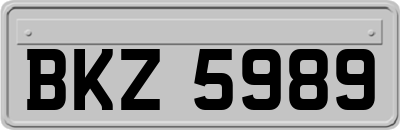 BKZ5989