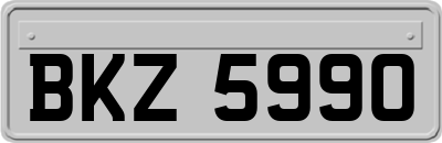 BKZ5990