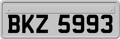 BKZ5993