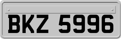 BKZ5996