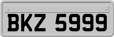 BKZ5999