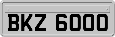 BKZ6000