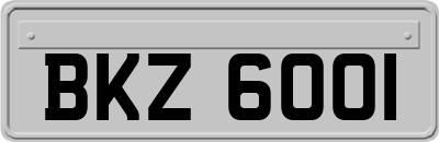 BKZ6001