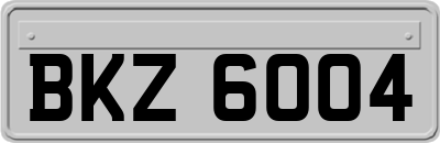 BKZ6004