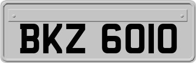 BKZ6010