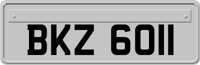 BKZ6011