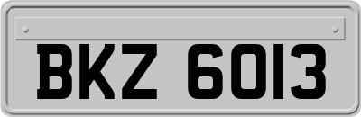 BKZ6013