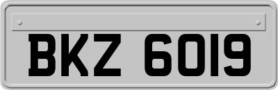 BKZ6019