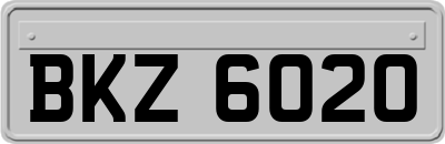 BKZ6020