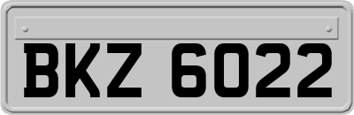 BKZ6022