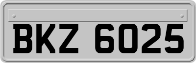 BKZ6025