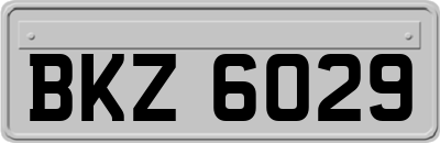 BKZ6029