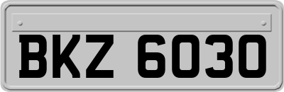 BKZ6030