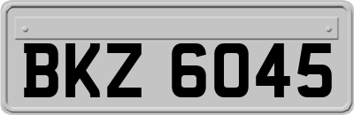 BKZ6045