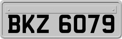 BKZ6079