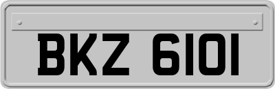 BKZ6101