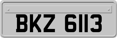 BKZ6113