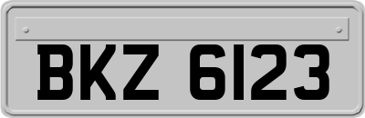 BKZ6123