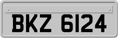 BKZ6124