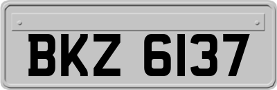 BKZ6137