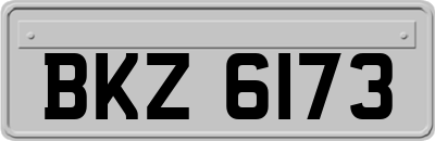 BKZ6173