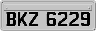 BKZ6229