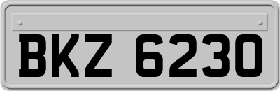 BKZ6230