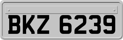 BKZ6239