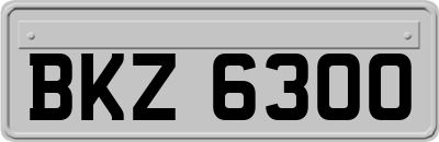 BKZ6300