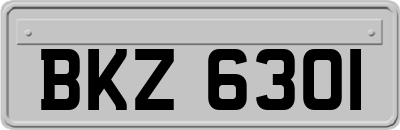 BKZ6301