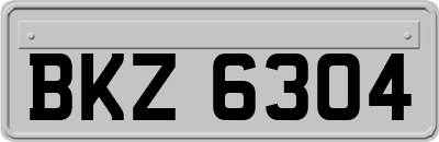 BKZ6304