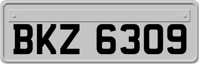 BKZ6309