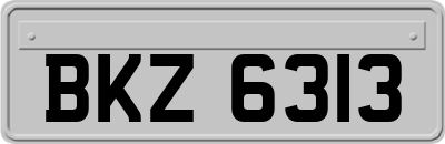 BKZ6313