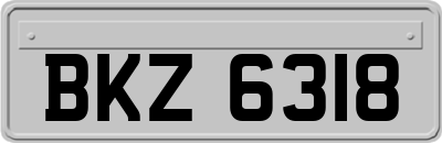 BKZ6318
