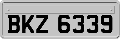 BKZ6339