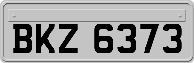 BKZ6373
