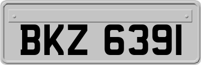 BKZ6391