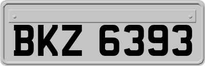 BKZ6393