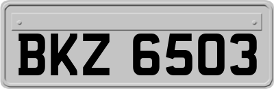 BKZ6503