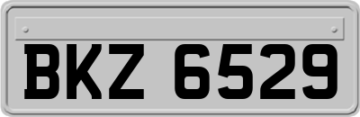 BKZ6529