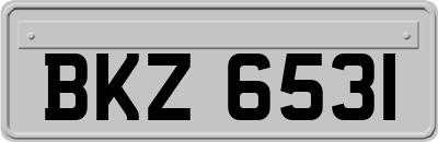 BKZ6531
