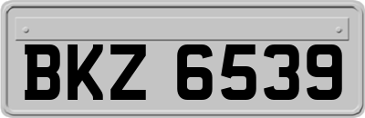 BKZ6539
