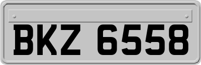BKZ6558
