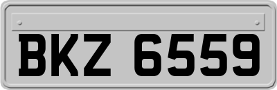 BKZ6559