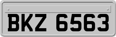 BKZ6563