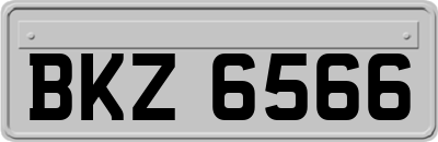 BKZ6566