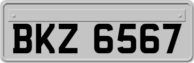 BKZ6567