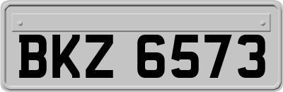 BKZ6573